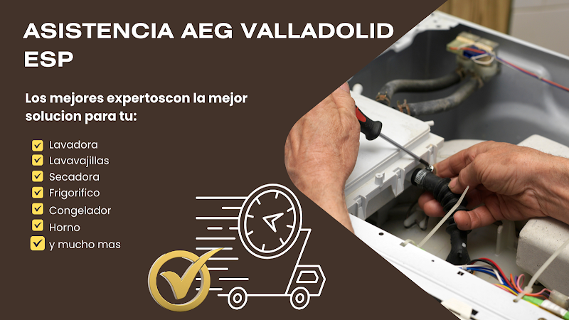 Asistencia Liebherr Aeg Teka Valladolid Esp